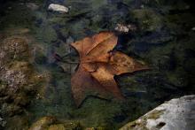 Stephanie Resendez's picture Stephanie Resendez's picture